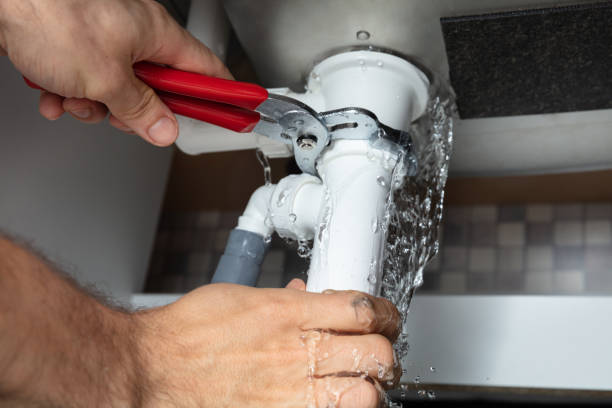 Best Flood damage cleanup  in Truckee, CA