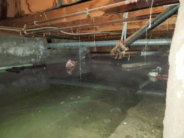 Best Commercial water damage restoration  in Truckee, CA