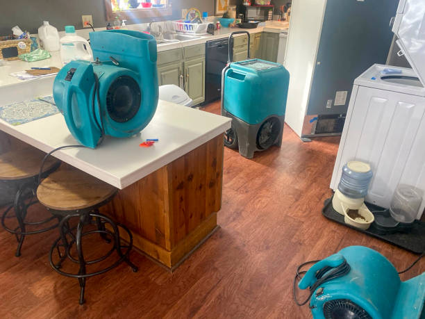 Best Residential water damage restoration  in Truckee, CA