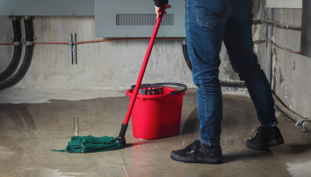 Best Water damage restoration insurance claims  in Truckee, CA