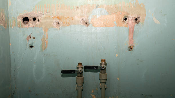 Best Water damage restoration mold remediation  in Truckee, CA
