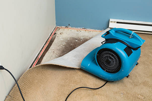 Best Fire Damage Restoration  in Truckee, CA